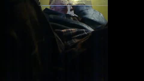 Manu online show from 9, 1, 2026