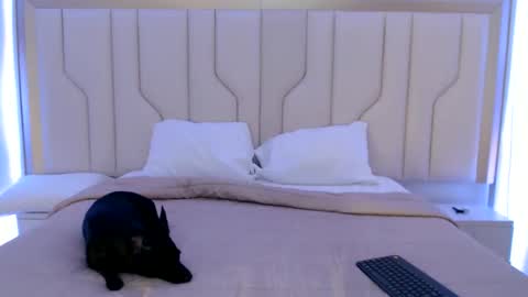 Snapshot of mara_sex chatting on 11, 6, 2026 pao online show from 11, 6, 2026