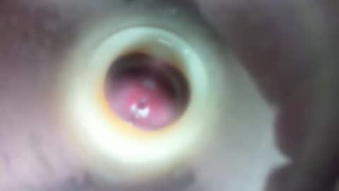 Snapshot of marcsexxy chatting on 23, 2, 2026 Marc online show from 23, 2, 2026