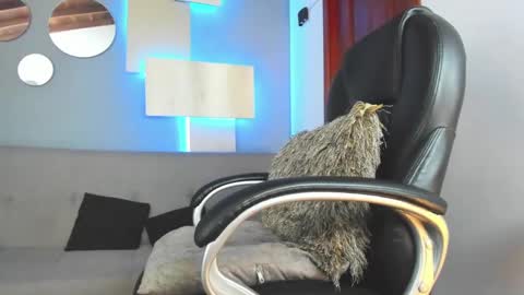 Snapshot of marcus_jax1 chatting on 14, 2, 2025 Marcus Jax1 online show from 14, 2, 2025