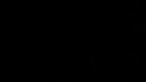 Elle online show from 11, 10, 2025