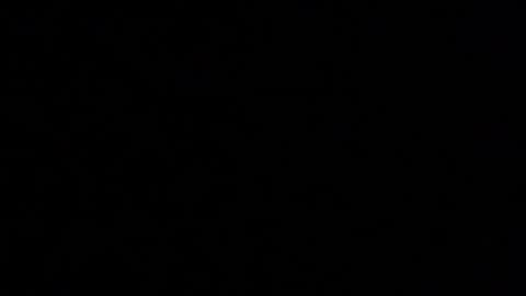 Elle online show from 15, 11, 2025