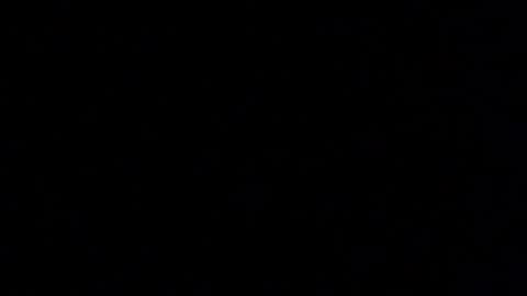 Elle online show from 14, 1, 2026