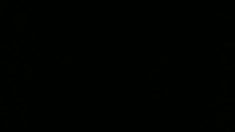 Elle online show from 25, 2, 2026