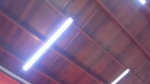 maria_turner1 online show from 9, 2, 2026