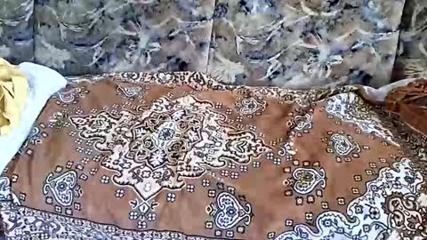 Snapshot of marian20242025 chatting on 1, 11, 2025 marian20242025 online show from 1, 11, 2025