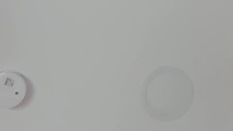 Maria Pettit online show from 18, 2, 2026