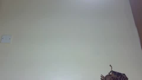 Snapshot of marielove51 chatting on 26, 6, 2026 Marie online show from 26, 6, 2026