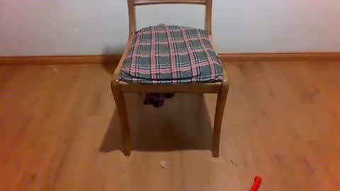 Maripaula369 online show from 12, 1, 2025