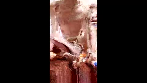 Snapshot of marki_2816 chatting on 23, 2, 2026 marki_2816 online show from 23, 2, 2026