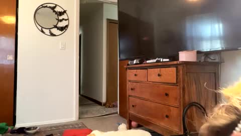 Snapshot of maroon_moon chatting on 14, 2, 2025 maroon_moon online show from 14, 2, 2025