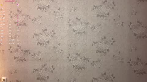 Stephie online show from 17, 2, 2026