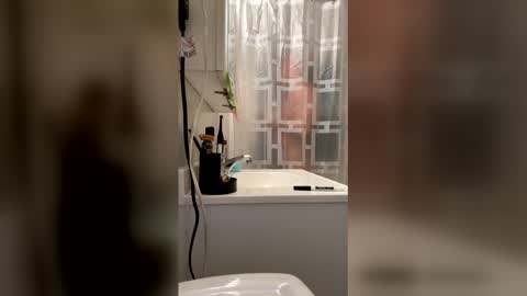 HappyZending online show from 17, 1, 2026