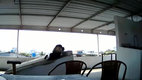 Snapshot of master_cospi96 chatting on 14, 2, 2025 Master Cospi online show from 14, 2, 2025