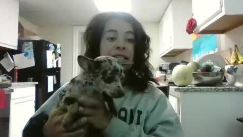 Snapshot of mastressluna chatting on 21, 11, 2025 Mastress Luna online show from 21, 11, 2025