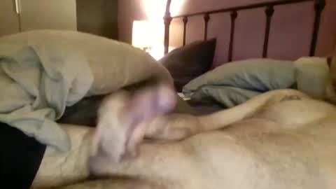 matrixdog69 online show from 4, 11, 2025