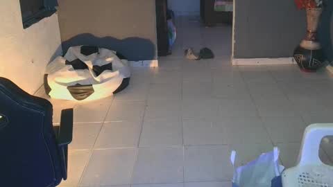 mattias     online show from 19, 2, 2025