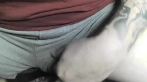 Snapshot of max_gv chatting on 12, 10, 2025 max_gv online show from 12, 10, 2025