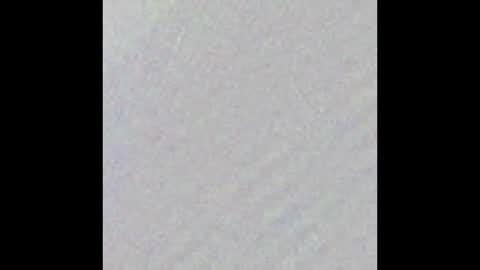 Max Taylor online show from 17, 3, 2026