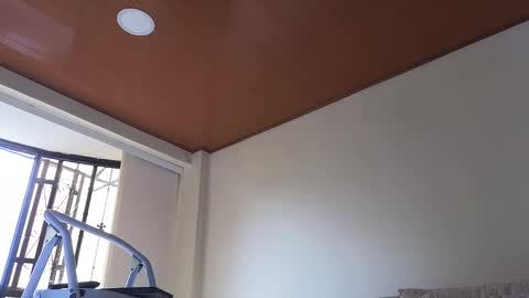 Sebastian online show from 13, 1, 2025