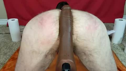 Snapshot of maxjr8008 chatting on 8, 12, 2024 maxjr8008 online show from 8, 12, 2024