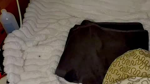 maybeanal online show from 30, 10, 2025