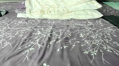 Maybelline69 online show from 28, 10, 2025