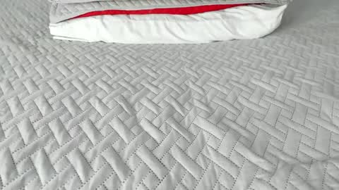 Maybelline69 online show from 18, 12, 2025