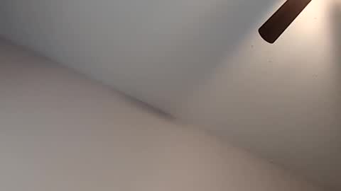 Snapshot of meanfinger chatting on 13, 2, 2026 Jizzy online show from 13, 2, 2026