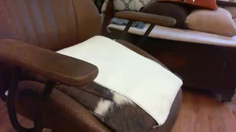 medfirebear online show from 28, 11, 2025