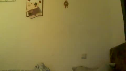 Snapshot of megamanp chatting on 3, 3, 2026 megamanp online show from 3, 3, 2026