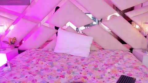     online show from 21, 11, 2025