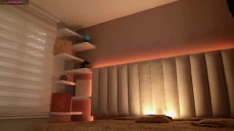     online show from 15, 11, 2025