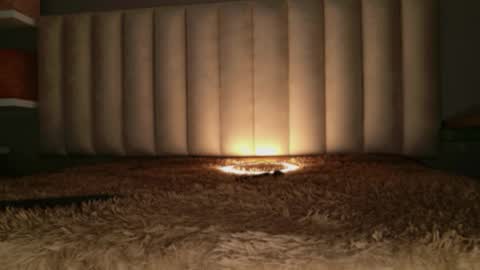     online show from 18, 3, 2026