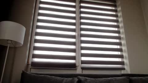 Melania online show from 31, 12, 2024