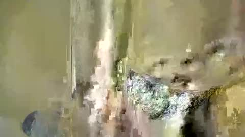 Baby online show from 4, 12, 2025