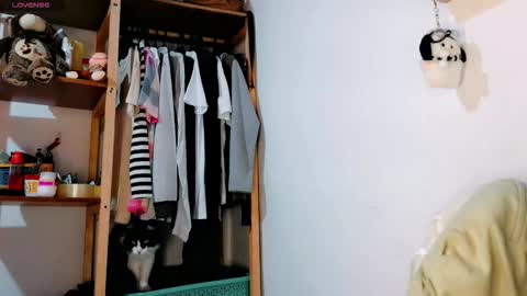  Carol - Dany  online show from 20, 2, 2026