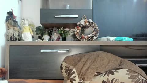 Snapshot of mellbell_ chatting on 8, 1, 2025 MellyMell online show from 8, 1, 2025