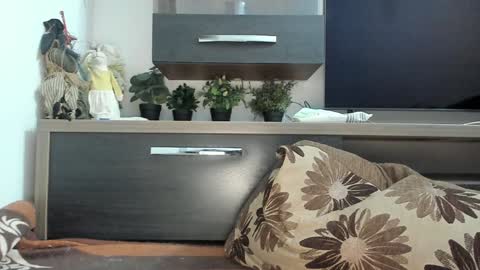 Snapshot of mellbell_ chatting on 30, 1, 2025 MellyMell online show from 30, 1, 2025