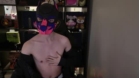 Snapshot of mellpup chatting on 30, 3, 2026 MellPUP online show from 30, 3, 2026