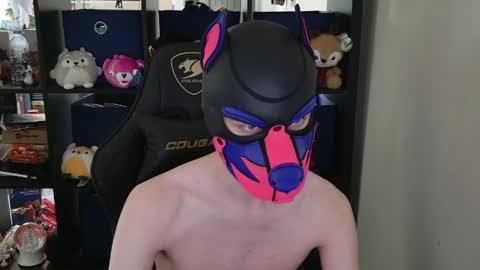 Snapshot of mellpup chatting on 30, 4, 2026 MellPUP online show from 30, 4, 2026