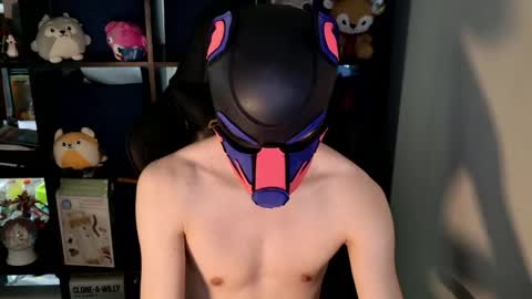 Snapshot of mellpup chatting on 30, 5, 2026 MellPUP online show from 30, 5, 2026