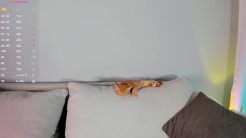 Mel online show from 1, 10, 2025