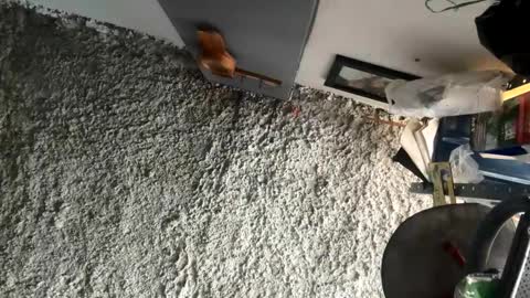 melodysnow online show from 5, 1, 2026