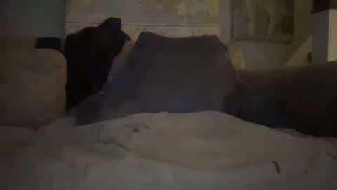 Snapshot of melt13 chatting on 1, 1, 2025 melt13 online show from 1, 1, 2025