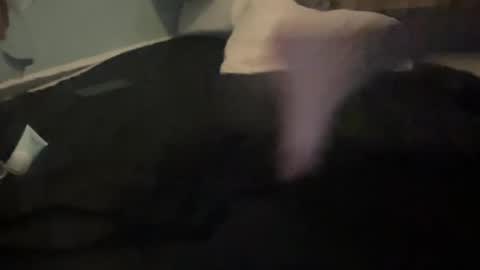 Snapshot of melt13 chatting on 13, 10, 2025 melt13 online show from 13, 10, 2025