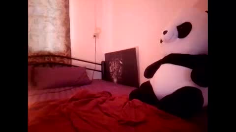 Snapshot of meltednorth6 chatting on 11, 2, 2026 Merry online show from 11, 2, 2026