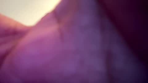 memolesta13 online show from 9, 2, 2025