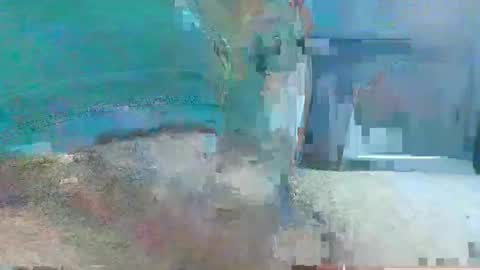 Manuke online show from 1, 12, 2024