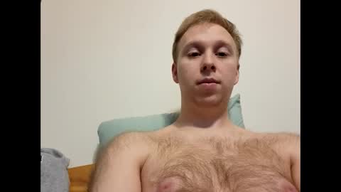 meow732 online show from 2, 11, 2025